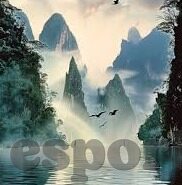 大比分足球视频-大比分足球盛宴，激情燃烧的绿茵场，数字背后的热血故事