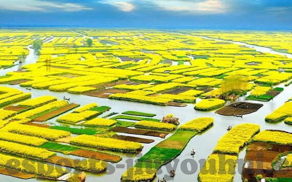 捷报足球及时比分vs-捷报足球及时比分，绿茵场上的实时脉搏与战术博弈